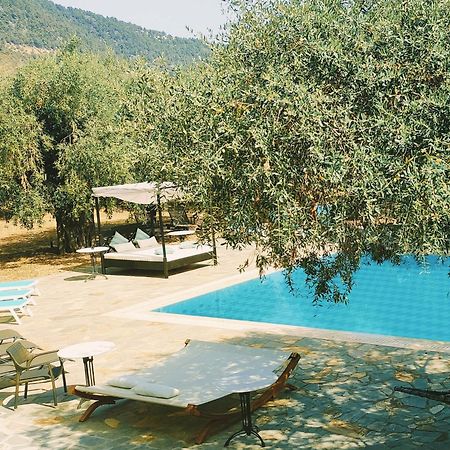 Ipsario Garden Hotel Szkála Potamiász Kültér fotó